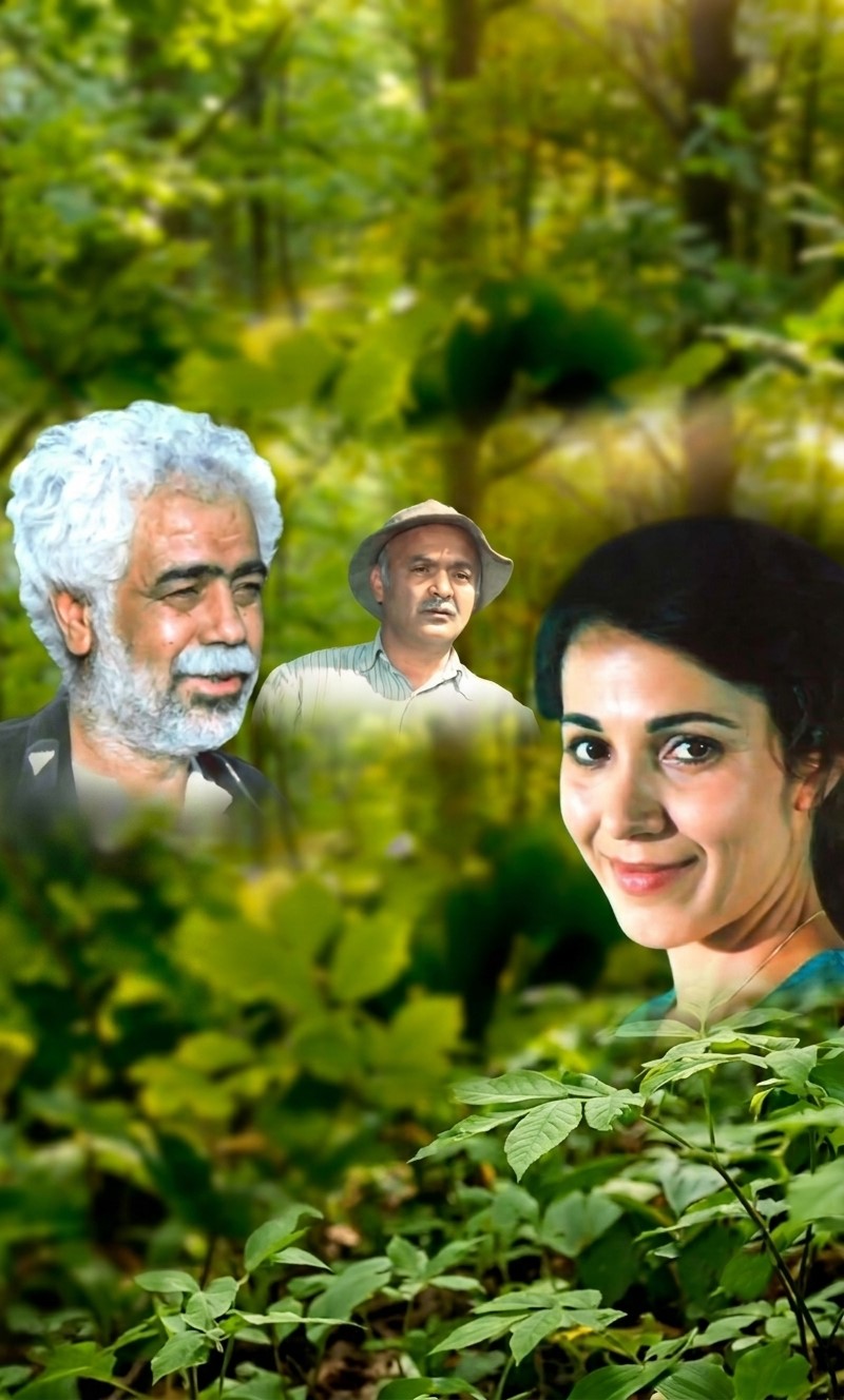 Qoca palıdın nağılı (1984)