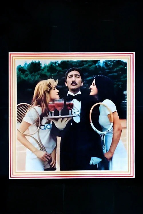 Əvəzolunmaz xidmətçi (1976)